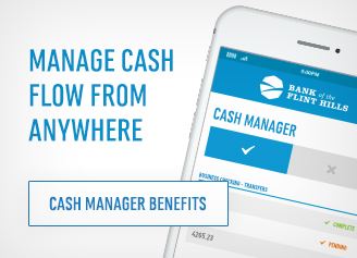 cash-manager3.jpg